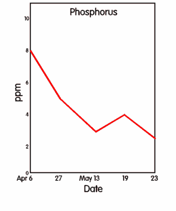 graph of phosphorus changes