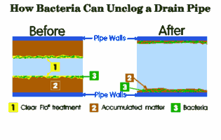 Illustration of how bacteria unclog a drain