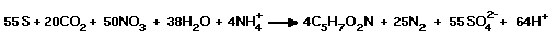 55S + 20Co2 + 50NO2 + 38H2O + 2NH4 = 4C4H7O2N + 25N2 + 55SO4 (2-) + 64H+