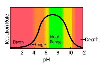 diagram of how pH affects bacterial growth rates