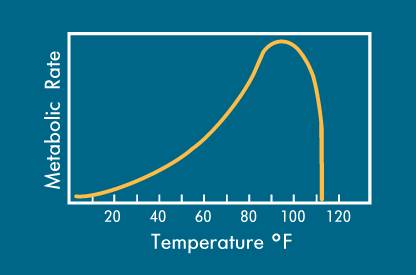 Diagram of the ideal temperature range for bacterial growth