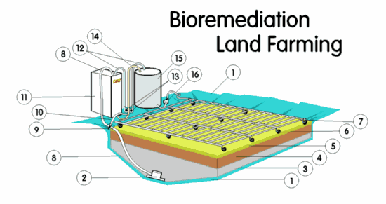 Farm Diagram