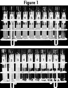 test tubes showing results of detergent challenge