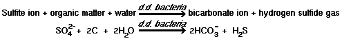 sulfite ion + organic matter + water + d.d bacteria = bicarbonate ion + hydrogen sulfide gas