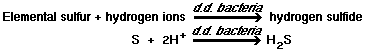 elemental sulfur + hydrogn ions + d.d. bacteria = hydrogen sulfide