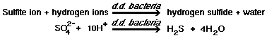 sulfite ion + hydrogen ions + d.d. bacteria = hydrogen sulfide + water