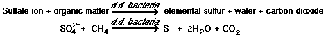 sulfate ion + organic matter + d.d. bacteria + elemental sulfur + water + carbon dioxide