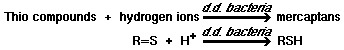 Thio compounds + hydrogen ions + d.d. bacteria = mercaptans