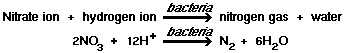 Nitrate ion + hydrogen ion + bacteria = nitrogen gas + water