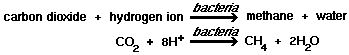 carbon dioxide + hydrogen ion + bacteria = methane + water