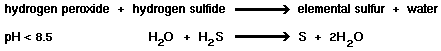 hydrogen peroxide + hydrogen sulfide = elemental sulfur + water