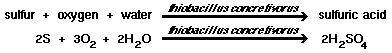 sulfur + oxygen + water + thiobacillus concretivorus = sulfuric acid