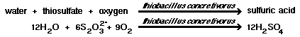 water + thiosulfate + oxygen + thiobacillus concretivorus = sulfuric acid